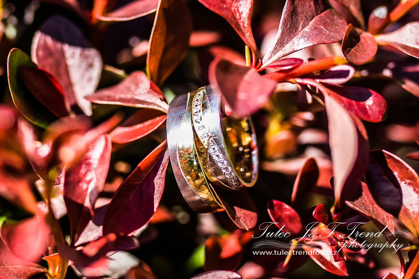 Svatební foto a video Praha